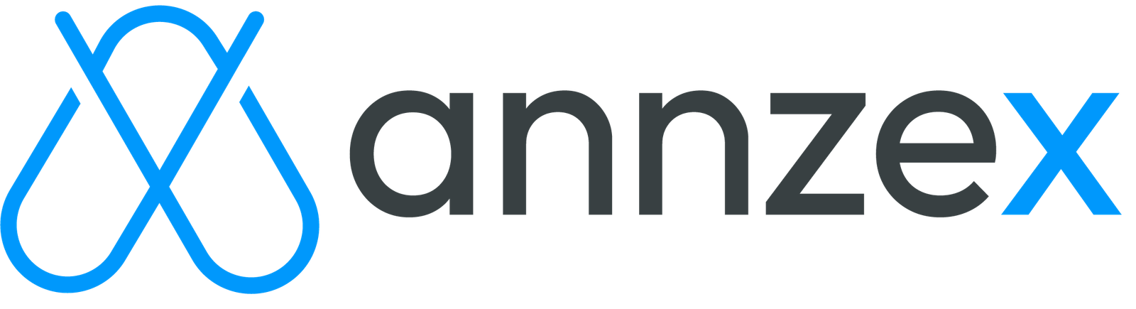 annzex-logo